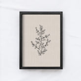 Vintage Print Framed | Floral Branch Print A107